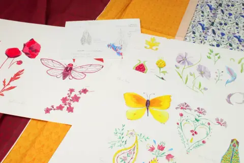 Croquis de motifs provençaux : coquelicots, cigale, papillon, grenade, fleurs et feuilles.