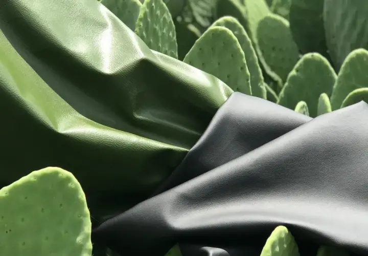 Deux échantillons de cuir végétal, vert et noir, drapés sur des feuilles de cactus.