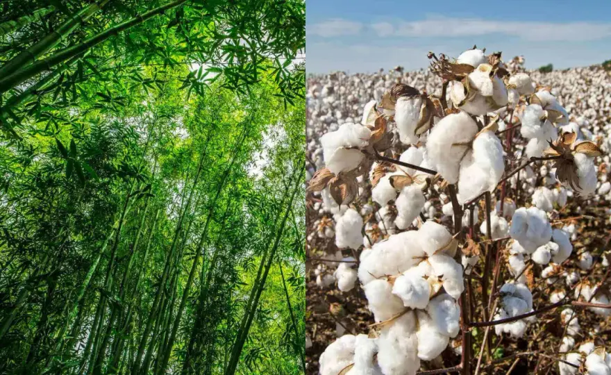 Viscose de bambou - Démêlez le vrai du faux