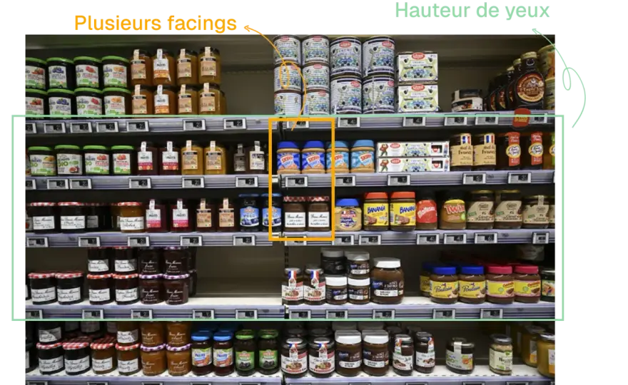 Rayon - Comprendre ses atouts et limites pour mieux choisir