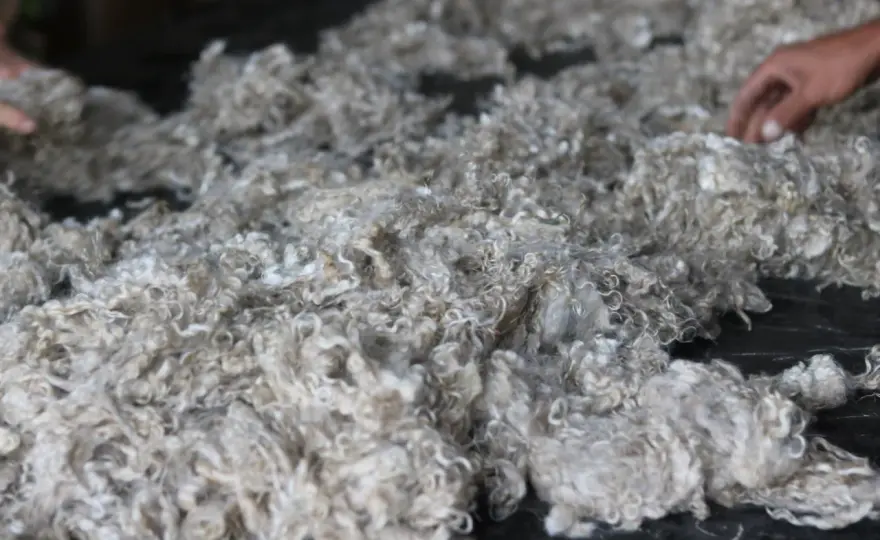 Mohair - Comprendre et choisir cette fibre d'exception